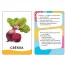 Карточки развивающие "Овощи, фрукты, ягоды", 32 карточек, 0+, Котятова