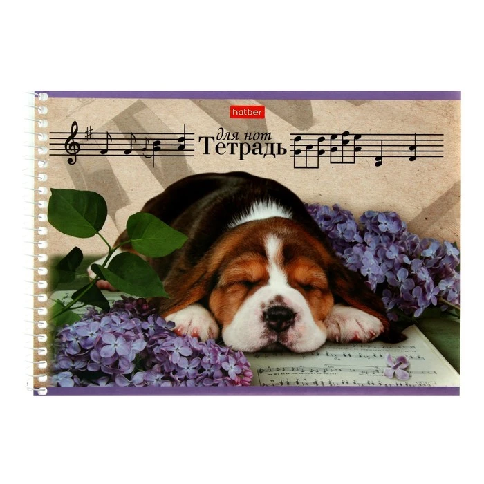 Тетрадь для нот А5, 24 листа на гребне, горизонтальная "Щенок", со