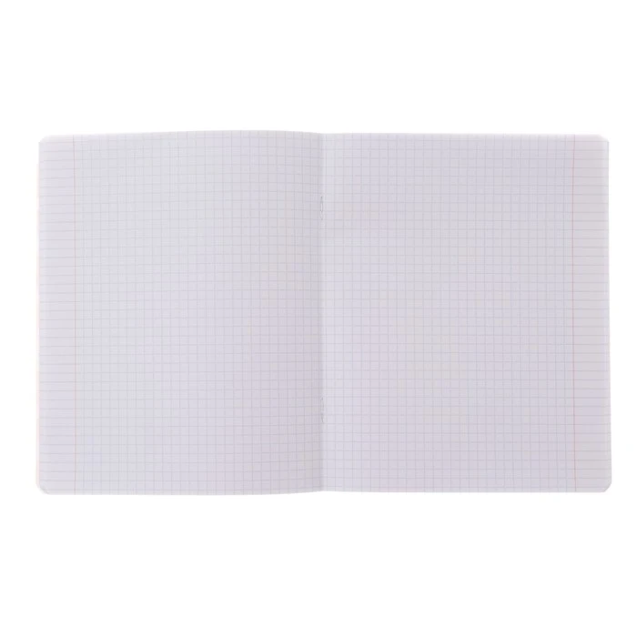 Тетрадь 48 листов в клетку "Глазунья", обложка мелованный картон,