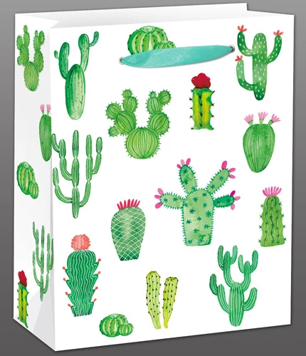 Dream cards Пакет подарочный с матовой ламинацией Красивые кактусы 31x42x12 см Dream cards Пакет подарочный с матовой ламинацией Красивые кактусы 31x42x12 см