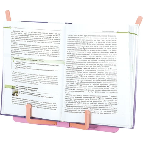 Подставка для книг и учебников BRAUBERG KIDS "Flamingo", регулируемый