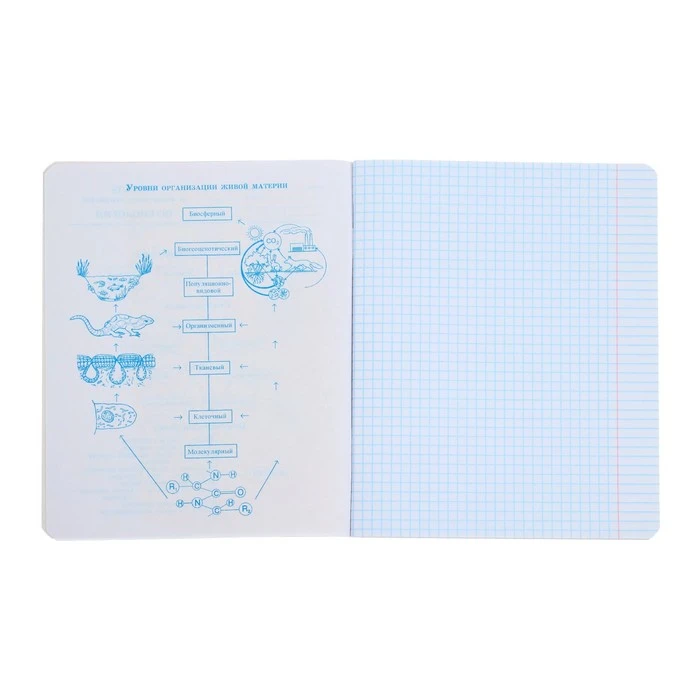 Тетрадь предметная "Котяра", 48 листов в клетку "Биология", Тетрадь предметная "Котяра", 48 листов в клетку "Биология",