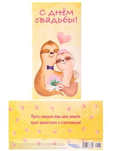 Dream Cards Конверт для денег С днем свадьбы (ленивцы) ЛХ-0077