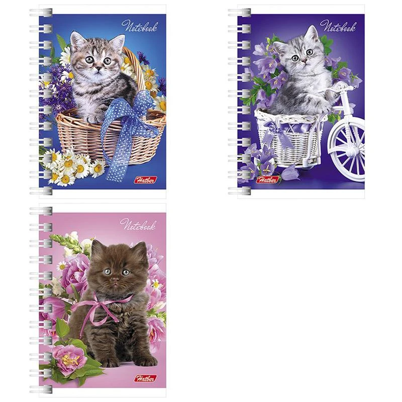 Записная книжка А7 40л. на гребне "Нежные котята": 40ЗК7В1гр штр.: Записная книжка А7 40л. на гребне "Нежные котята": 40ЗК7В1гр штр.: