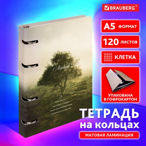 Тетрадь на кольцах А5 160х212 мм, 120 листов, картон, матовая ламинация, клетка,