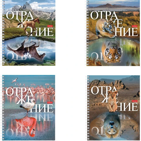 Тетрадь А5 48 л. HATBER гребень, клетка, обложка картон, "Отражение"