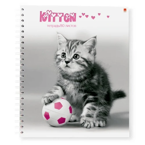 ТЕТРАДЬ 80Л. А5+ ГР. "КОТЯТА" 5 ВИДОВ