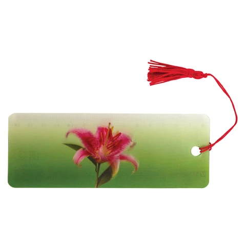 Закладка для книг с линейкой, 3D-объемная, BRAUBERG "Удивительный Закладка для книг с линейкой, 3D-объемная, BRAUBERG "Удивительный