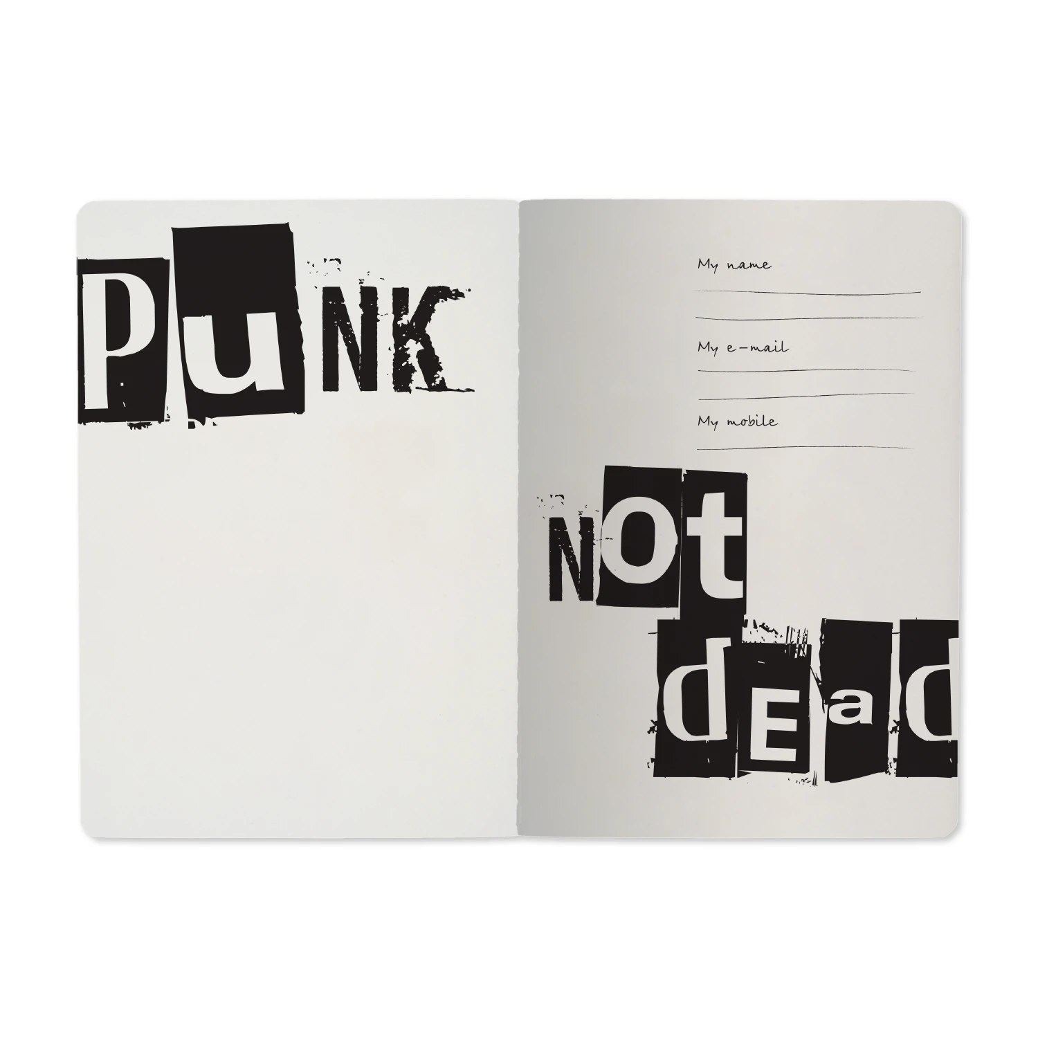 ТЕТРАДЬ А5, Bruno Visconti "PUNK NOTE" 40л. клетка