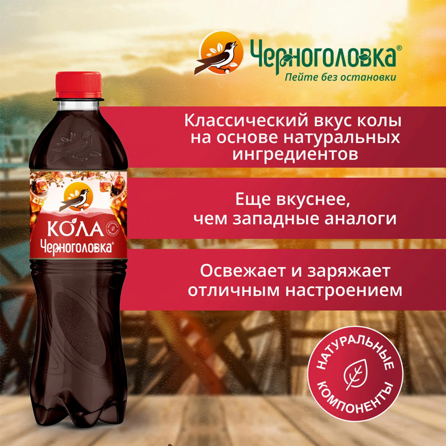 Напиток газированный КОЛА ЧЕРНОГОЛОВКА, 0,5 л, пластиковая бутылка,  010500-9902605 купить оптом, цена от 54.90 руб. 4602441022465