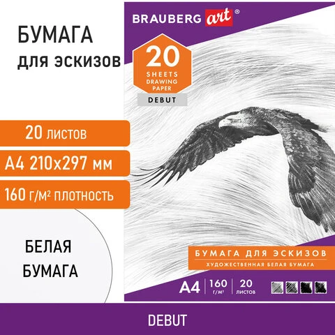 Папка для рисования А4, 20 л., 160 г/м2, BRAUBERG, 210х297 мм, "Орел",