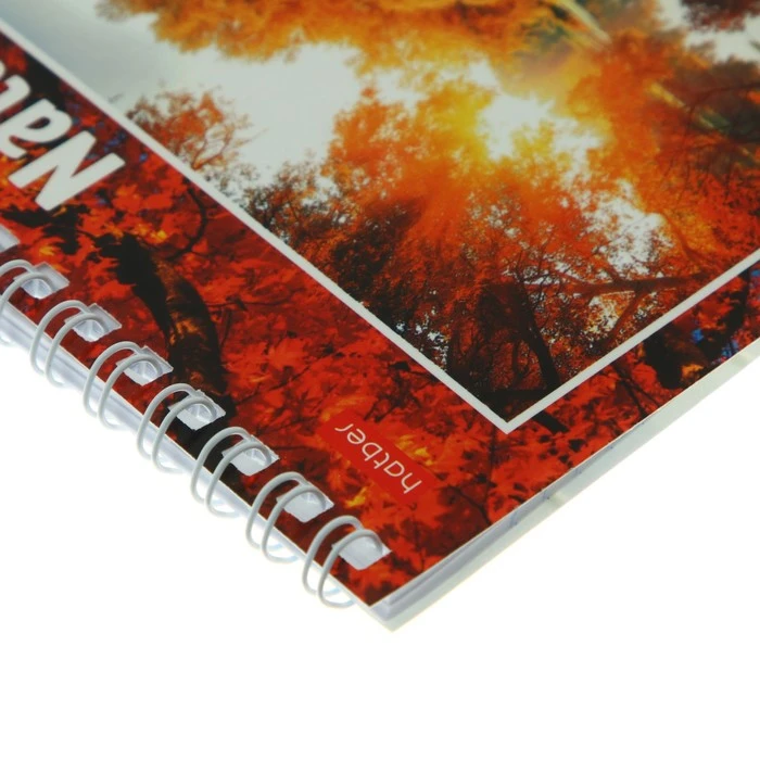 Блокнот А6, 40 листов на гребне "Пейзажи", обложка мелованный картон,