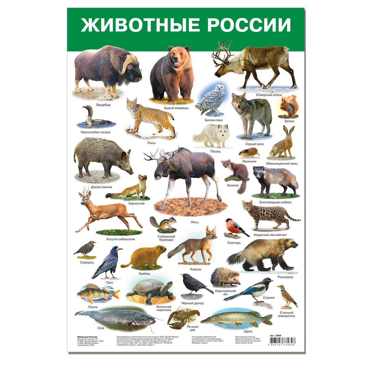 Арт.2986 Плакат. Животные России