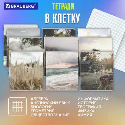 Тетради предметные, КОМПЛЕКТ 12 ПРЕДМЕТОВ, "ESTHETICS", 48 л.,