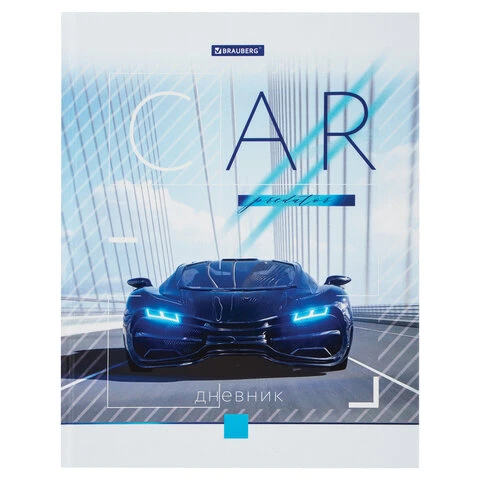 Дневник 1-4 класс, 48 л., твердый, BRAUBERG, выборочный лак, с подсказом,