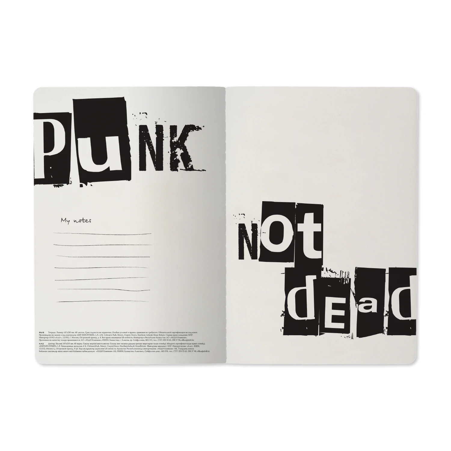 ТЕТРАДЬ А5, Bruno Visconti "PUNK NOTE" 40л. клетка