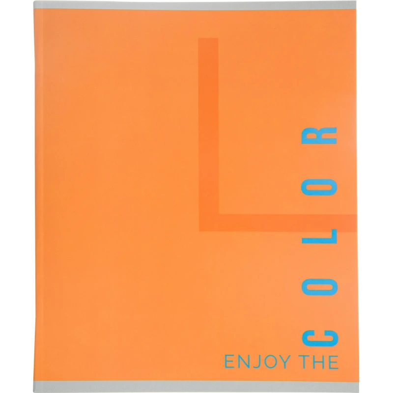 Тетрадь общая №1 School А5, 48л, клетка, скрепка, мат.лам,выб.УФлак, COLOR