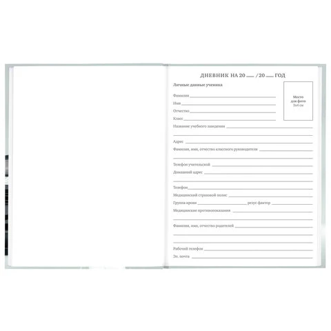 Дневник 5-11 класс 48 л., твердый, BRAUBERG, выборочный лак, с подсказом,