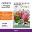 Скетчбук белая бумага 100 г/м2 142х212 мм, 80 л., гребень, твердая обложка,