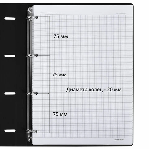 Тетрадь на кольцах БОЛЬШАЯ А4 (240х310 мм), 120 л., под кожу, BRAUBERG VISTA,