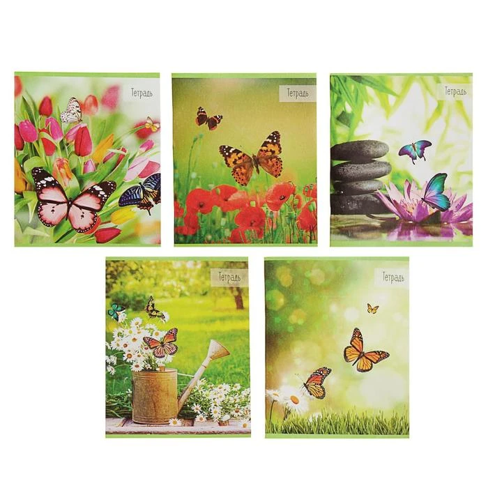 Тетрадь 36 листов в клетку Calligrata "Бабочки", обложка мелованная