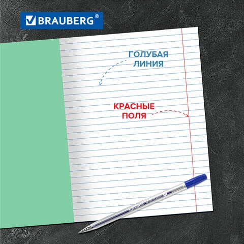 Тетрадь BRAUBERG ВЕЛИКИЕ ИМЕНА 18л. линия, плотная бумага 80г/м2, обложка