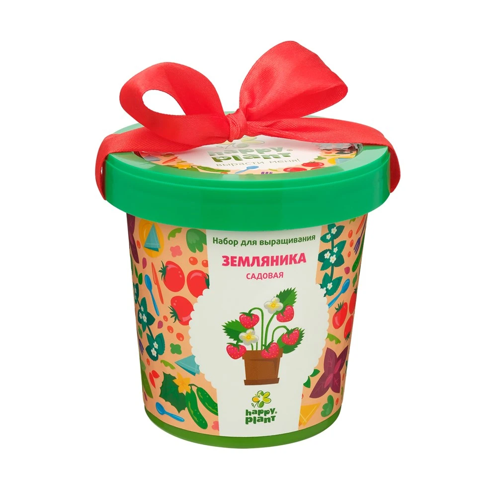 Горшок ЗЕМЛЯНИКА  САДОВАЯ