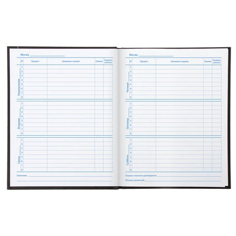 Дневник 5-11 класс 48 л., твердый, BRAUBERG, выборочный лак, с подсказом,