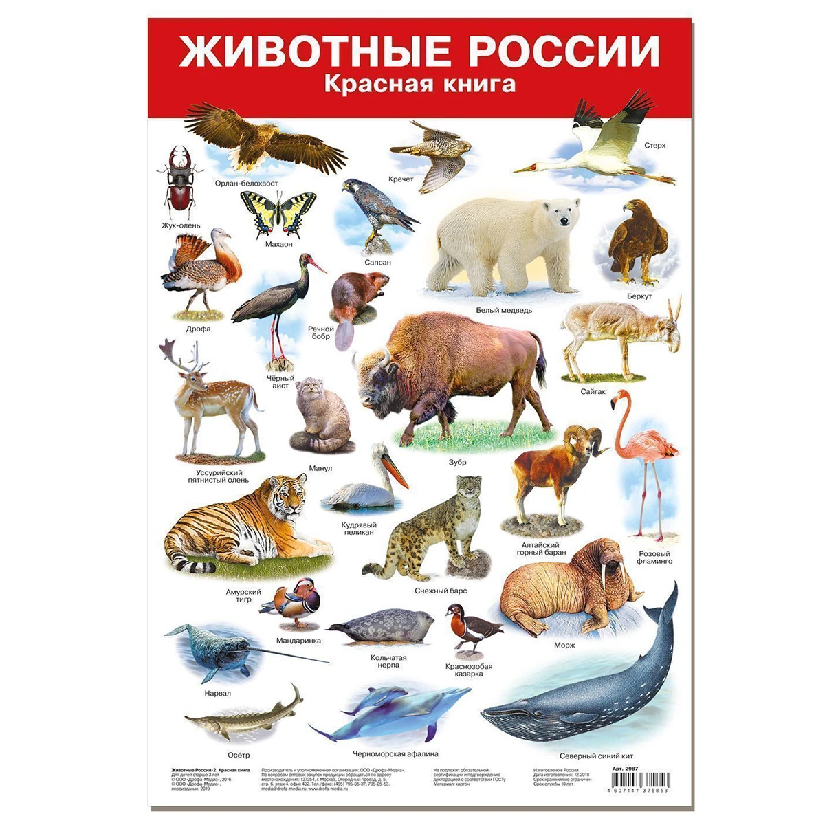 Арт.2987 Плакат. Животные России-2. Красная книга