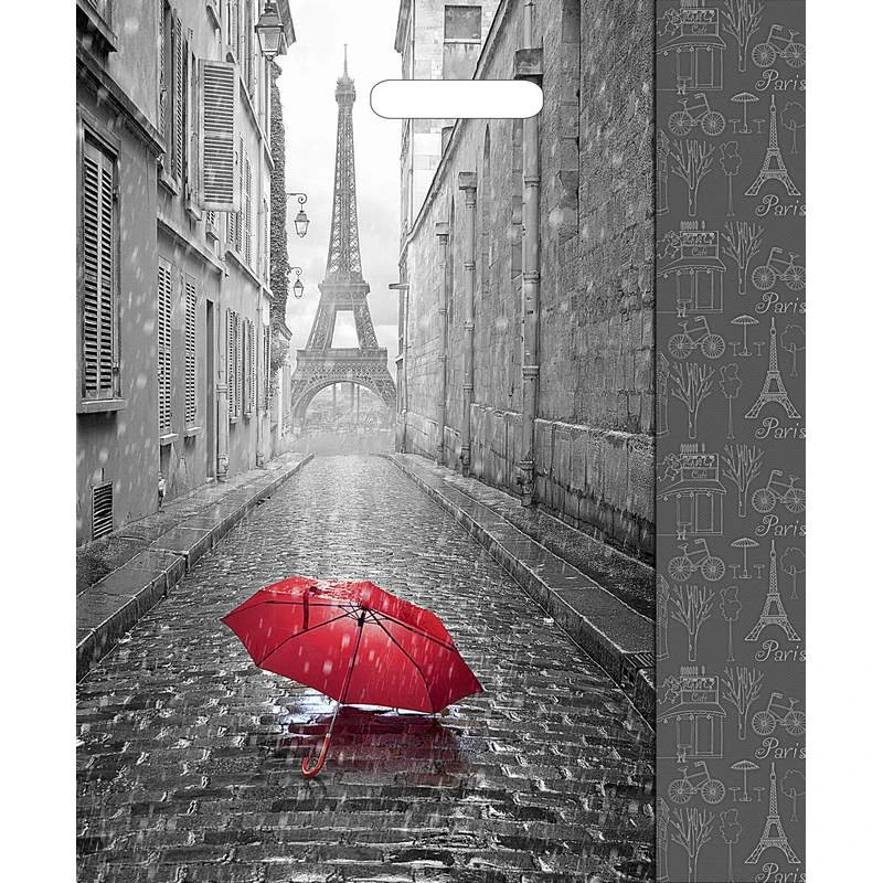 Пакет с вырубной ручкой Мой Париж 45х38см 50шт/уп