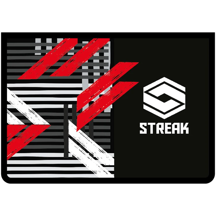 Папка для тетрадей А4 на молнии Динамика