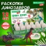 Набор для раскопок 12 видов динозавров, карточки, инструменты, развивающий,