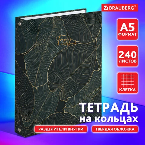 Тетрадь на кольцах А5 175х215 мм, 240 л., твердый картон, с разделителями,