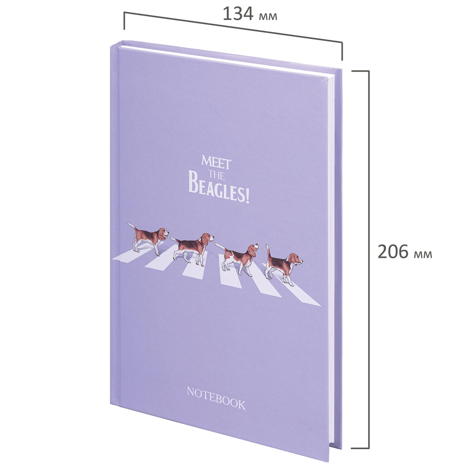 Блокнот А5 (134х206 мм), 80 л., твёрдый, клетка, выборочный лак, STAFF,