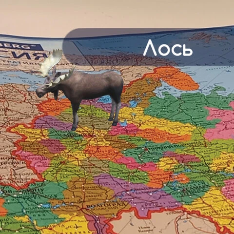 Карта России политико-административная 101х70 см, 1:8,5М, интерактивная, в