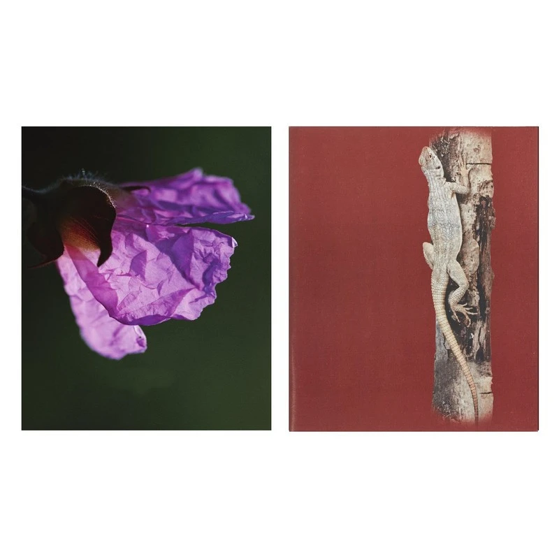 Тетрадь общая Attache,80л,клет,А5,скреп,обл.мел.карт,в асс штр.  4607122918693