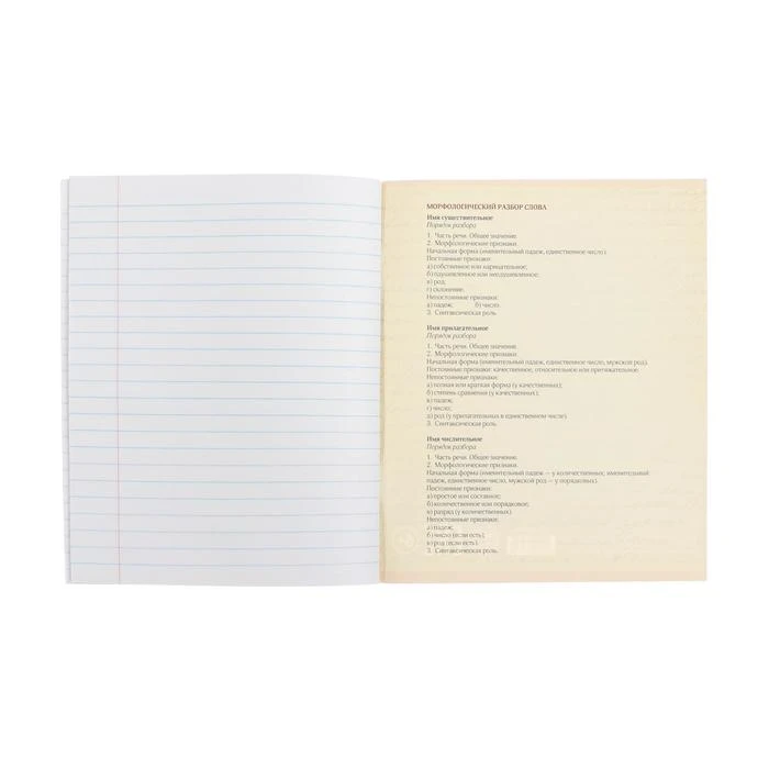 Тетрадь предметная "Футбол", 48 листов в линейку "Русский