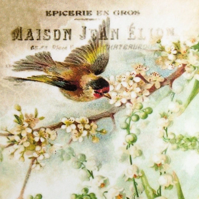 Декупажная карта "Птички" формат А4, плотность 45г/м2