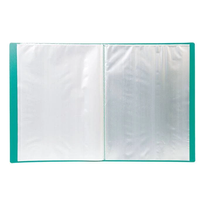 Папка с файлами LITE А4 20 файлов зелен. пластик 500 мкм NP0145-20BG Папка с файлами LITE А4 20 файлов зелен. пластик 500 мкм NP0145-20BG