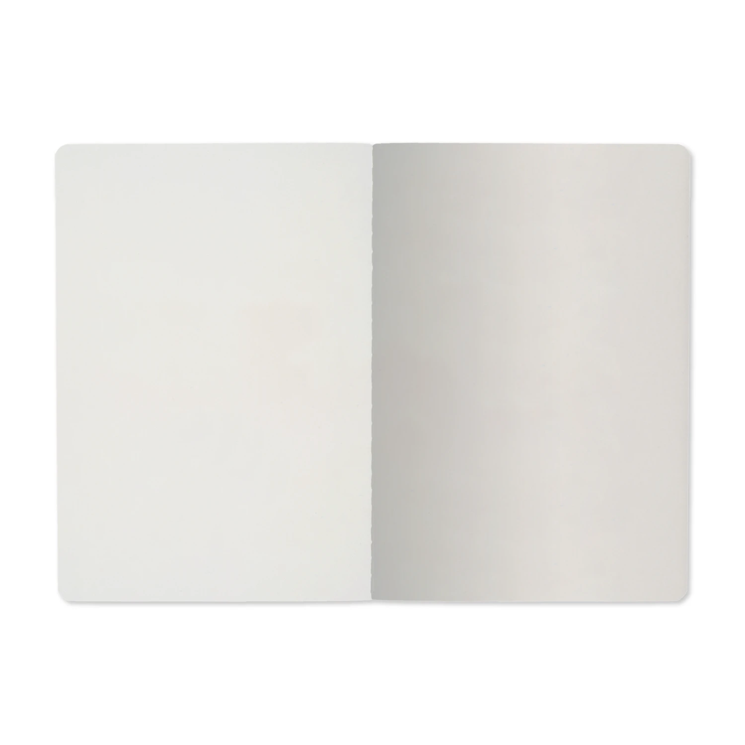 ТЕТРАДЬ А5, Bruno Visconti "IN SALMON MOOD", 40л. клетка