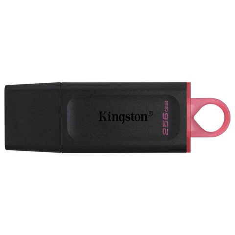 Флеш-диск 256GB KINGSTON DataTraveler Exodia, разъем USB 3.2, черный/розовый,