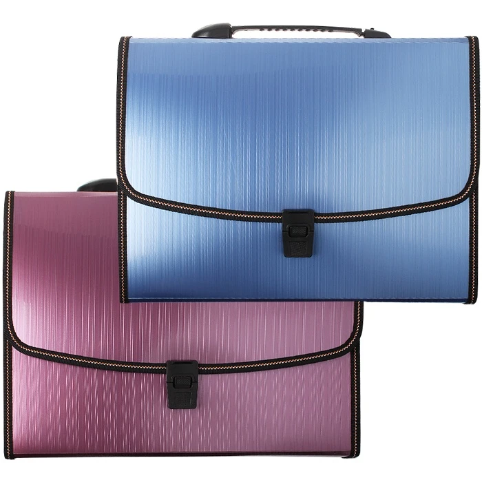 Портфель пластиковый 13 отделений "Darvish" Портфель пластиковый 13 отделений "Darvish"