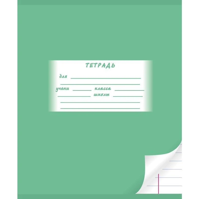 Тетрадь школьная А5 18л,линия,скрепка Однотонная. С уголком ТШ18К6607