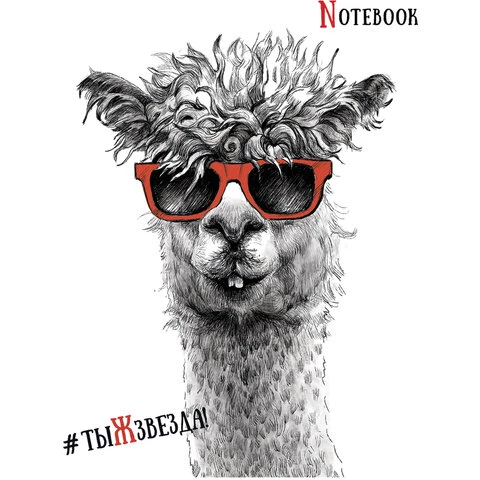 Тетрадь А5 48л. ПЗБМ скоба, клетка, Soft Touch, выборочный лак, Черно-белые