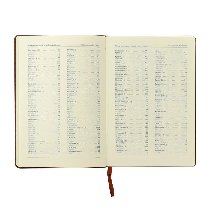 Ежедневник недатированный А5, 116 листов в клетку, с хлястиком, обложка кожзам,