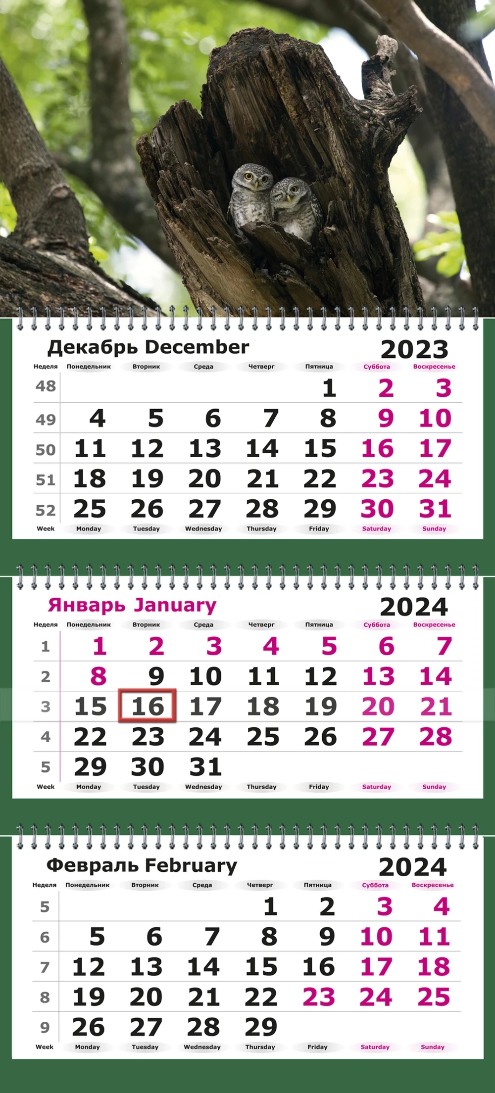 Календарь трехсекционный на 2024 год, "Природа России. Милые совята"