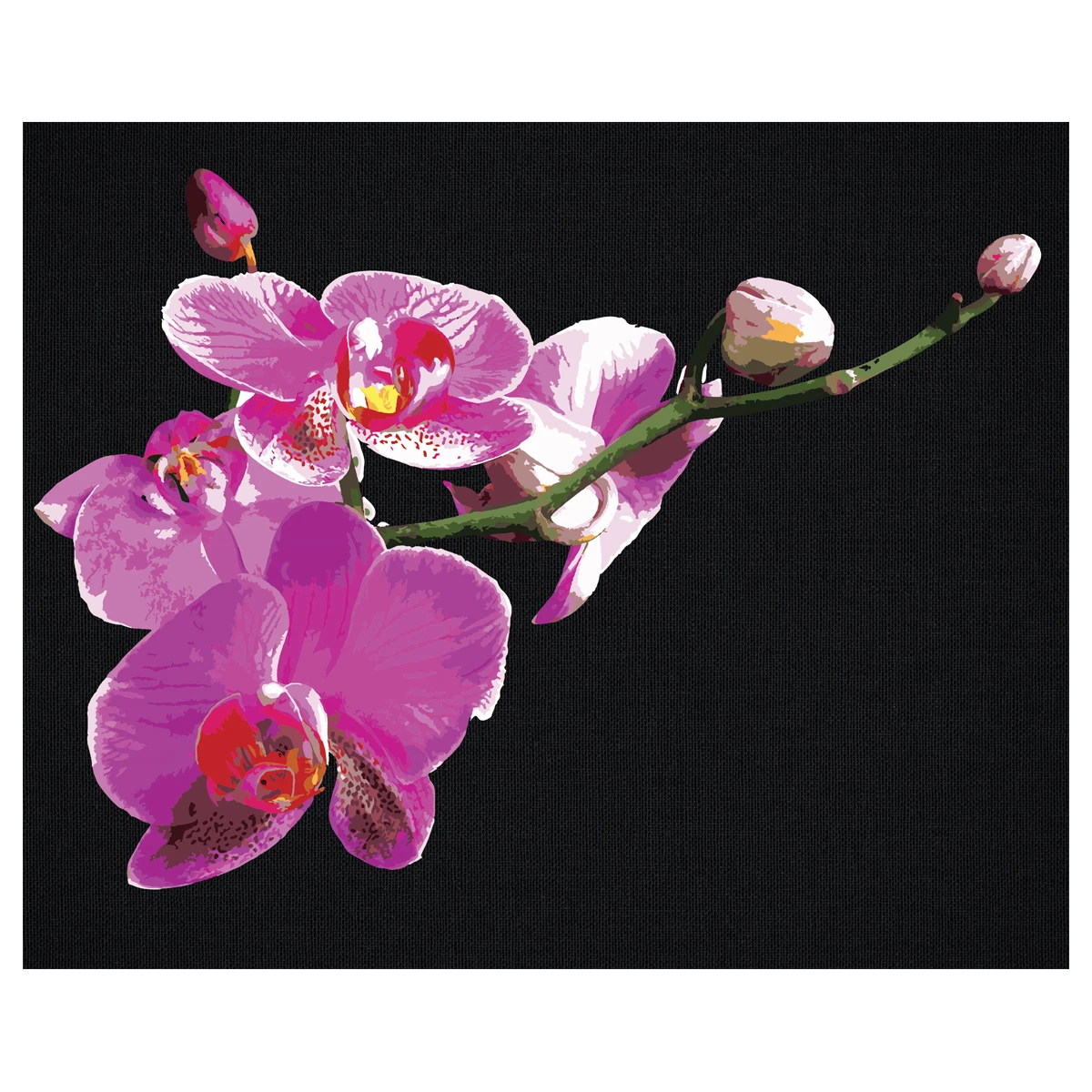Картина по номерам на черном холсте ТРИ СОВЫ "Цветы орхидеи", 40*50, c