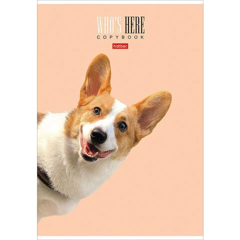 Тетрадь А4 96 л. HATBER скоба, клетка, матовая ламинация, "Кто здесь?" Тетрадь А4 96 л. HATBER скоба, клетка, матовая ламинация, "Кто здесь?"