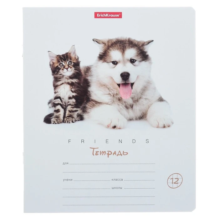 Тетрадь 12 листов в клетку ErichKrause "Дружба", обложка мелованный