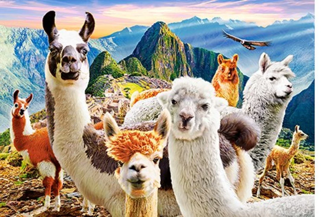 Пазлы 1000 Селфи лам Пазлы 1000 Селфи лам